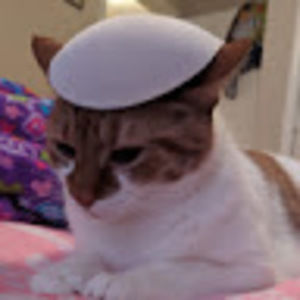 Meet your Posher, Twinkle